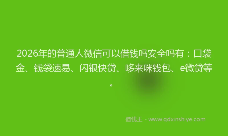 2026年的普通人微信可以借钱吗安全吗有：口袋金、钱袋速易、闪银快贷、哆来咪钱包、e微贷等。