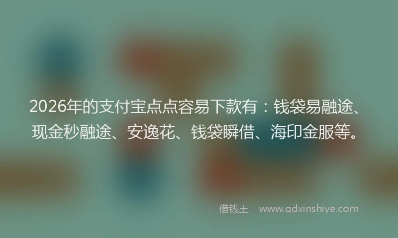 2026年的支付宝点点容易下款有：钱袋易融途、现金秒融途、安逸花、钱袋瞬借、海印金服等。