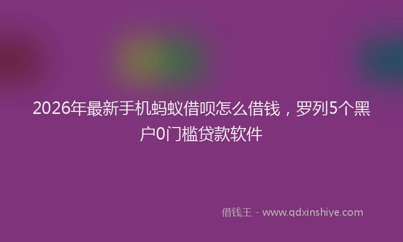 2026年最新手机蚂蚁借呗怎么借钱，罗列5个黑户0门槛贷款软件