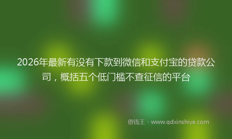 2026年最新有没有下款到微信和支付宝的贷款公司，概括五个低门槛不查征信的平台