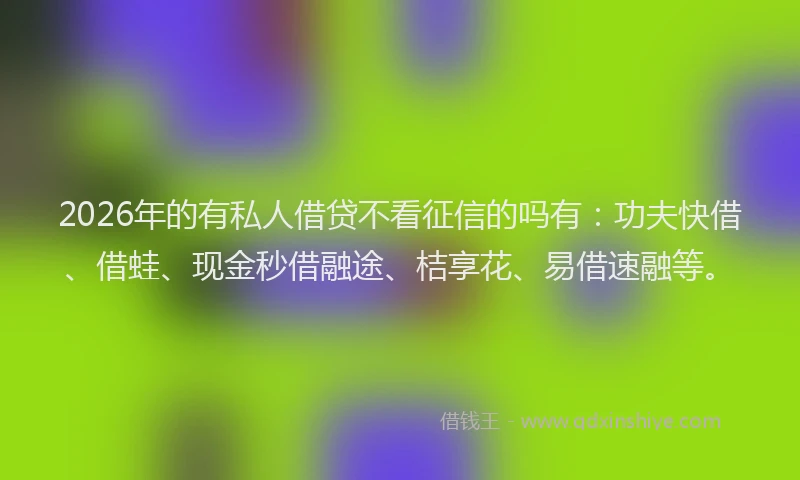 2026年的有私人借贷不看征信的吗有：功夫快借、借蛙、现金秒借融途、桔享花、易借速融等。