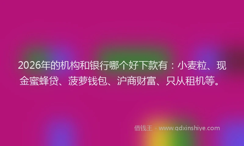 2026年的机构和银行哪个好下款有：小麦粒、现金蜜蜂贷、菠萝钱包、沪商财富、只从租机等。