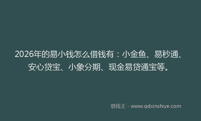 2026年的易小钱怎么借钱有：小金鱼、易秒通、安心贷宝、小象分期、现金易贷通宝等。