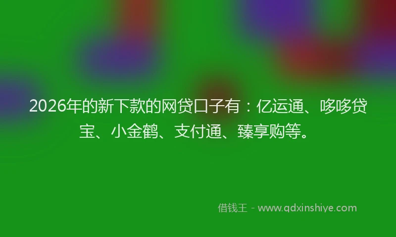 2026年的新下款的网贷口子有：亿运通、哆哆贷宝、小金鹤、支付通、臻享购等。