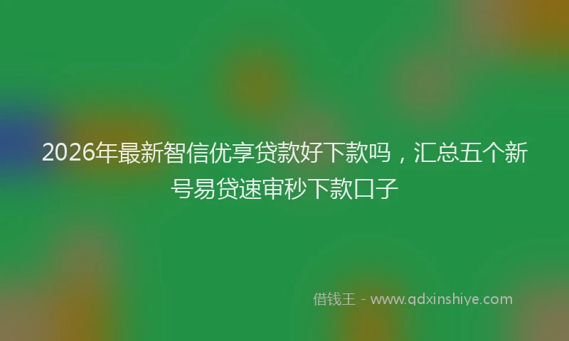 2026年最新智信优享贷款好下款吗，汇总五个新号易贷速审秒下款口子