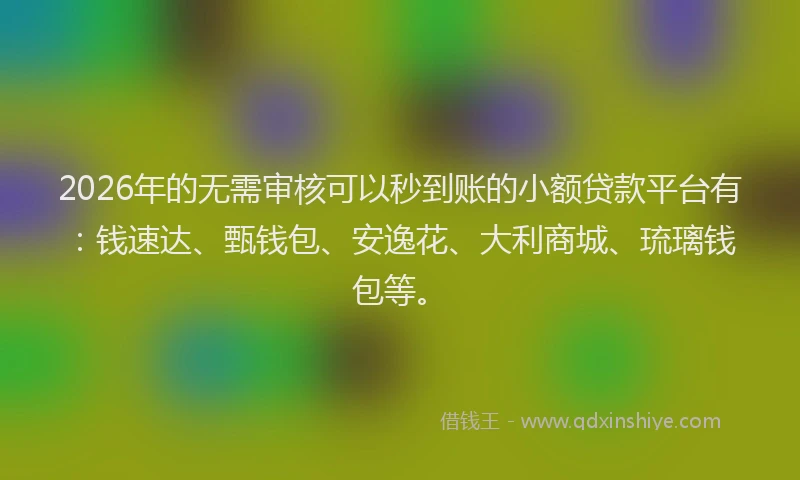 2026年的无需审核可以秒到账的小额贷款平台有：钱速达、甄钱包、安逸花、大利商城、琉璃钱包等。