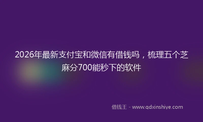2026年最新支付宝和微信有借钱吗，梳理五个芝麻分700能秒下的软件