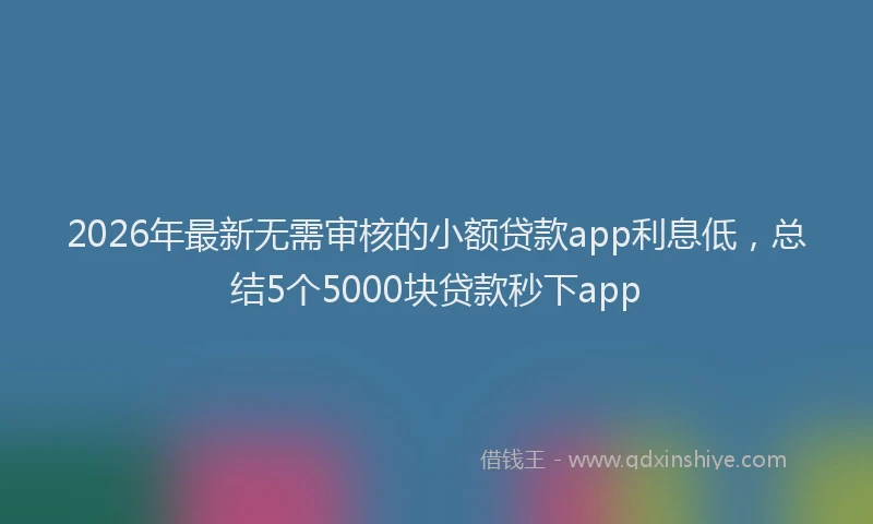 2026年最新无需审核的小额贷款app利息低，总结5个5000块贷款秒下app