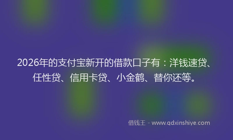 2026年的支付宝新开的借款口子有：洋钱速贷、任性贷、信用卡贷、小金鹤、替你还等。