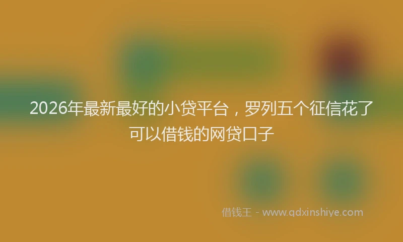 2026年最新最好的小贷平台，罗列五个征信花了可以借钱的网贷口子