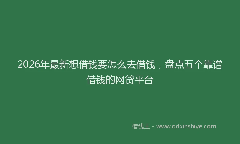 2026年最新想借钱要怎么去借钱，盘点五个靠谱借钱的网贷平台