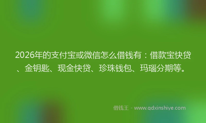 2026年的支付宝或微信怎么借钱有：借款宝快贷、金钥匙、现金快贷、珍珠钱包、玛瑙分期等。