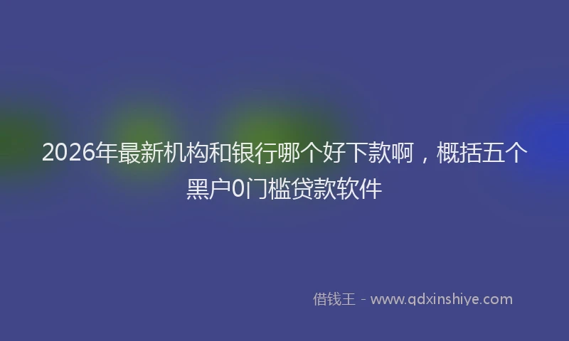 2026年最新机构和银行哪个好下款啊，概括五个黑户0门槛贷款软件