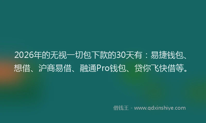 2026年的无视一切包下款的30天有：易捷钱包、想借、沪商易借、融通Pro钱包、贷你飞快借等。