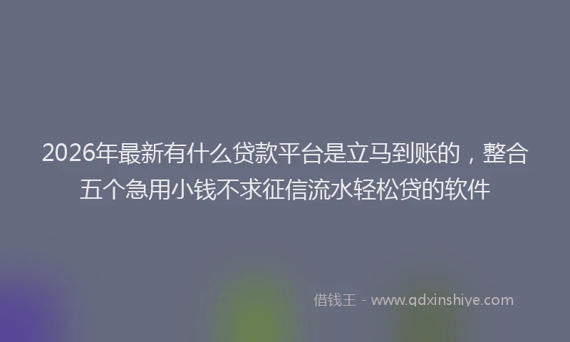 2026年最新有什么贷款平台是立马到账的，整合五个急用小钱不求征信流水轻松贷的软件
