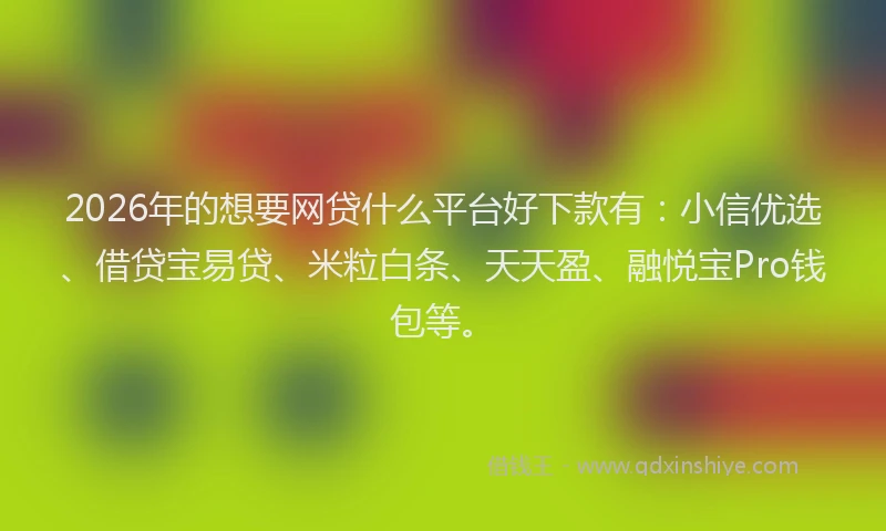 2026年的想要网贷什么平台好下款有：小信优选、借贷宝易贷、米粒白条、天天盈、融悦宝Pro钱包等。