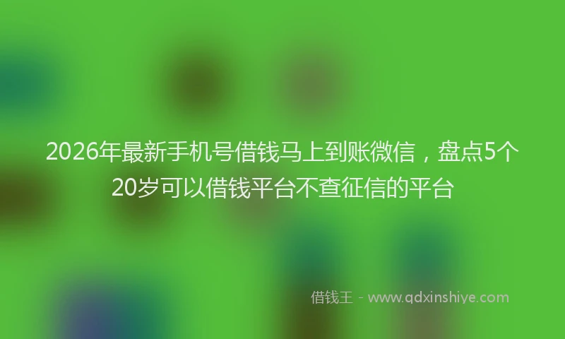2026年最新手机号借钱马上到账微信，盘点5个20岁可以借钱平台不查征信的平台
