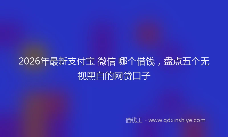 2026年最新支付宝 微信 哪个借钱，盘点五个无视黑白的网贷口子