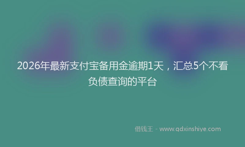 2026年最新支付宝备用金逾期1天，汇总5个不看负债查询的平台
