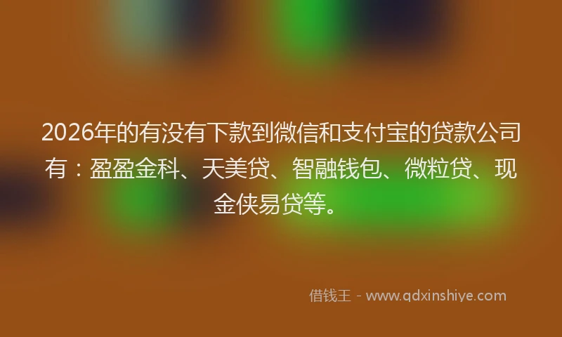 2026年的有没有下款到微信和支付宝的贷款公司有：盈盈金科、天美贷、智融钱包、微粒贷、现金侠易贷等。
