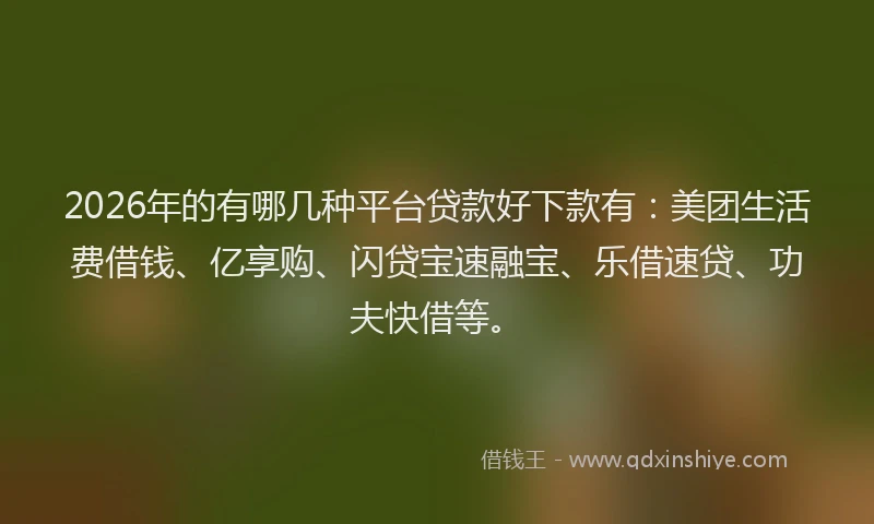 2026年的有哪几种平台贷款好下款有：美团生活费借钱、亿享购、闪贷宝速融宝、乐借速贷、功夫快借等。