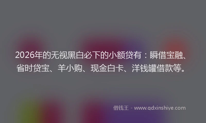 2026年的无视黑白必下的小额贷有：瞬借宝融、省时贷宝、羊小购、现金白卡、洋钱罐借款等。