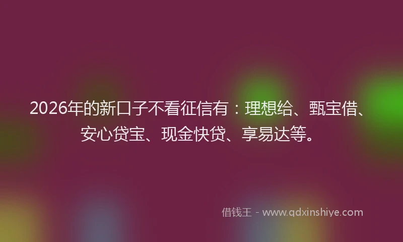 2026年的新口子不看征信有：理想给、甄宝借、安心贷宝、现金快贷、享易达等。