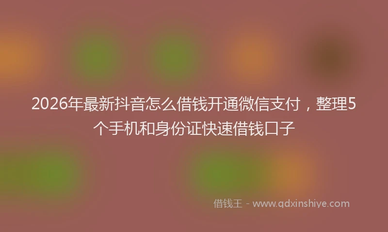 2026年最新抖音怎么借钱开通微信支付，整理5个手机和身份证快速借钱口子