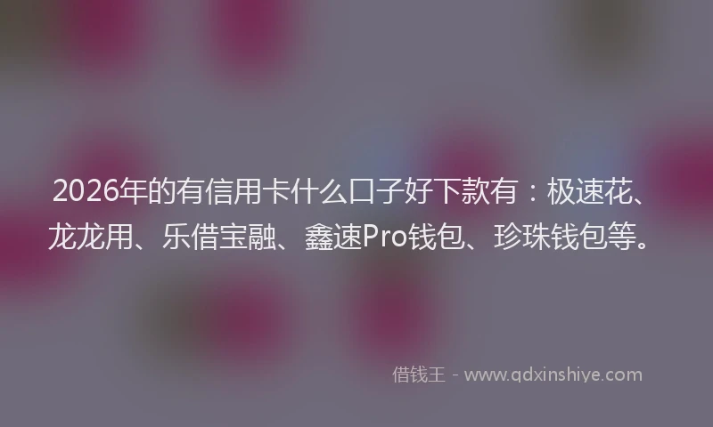 2026年的有信用卡什么口子好下款有：极速花、龙龙用、乐借宝融、鑫速Pro钱包、珍珠钱包等。