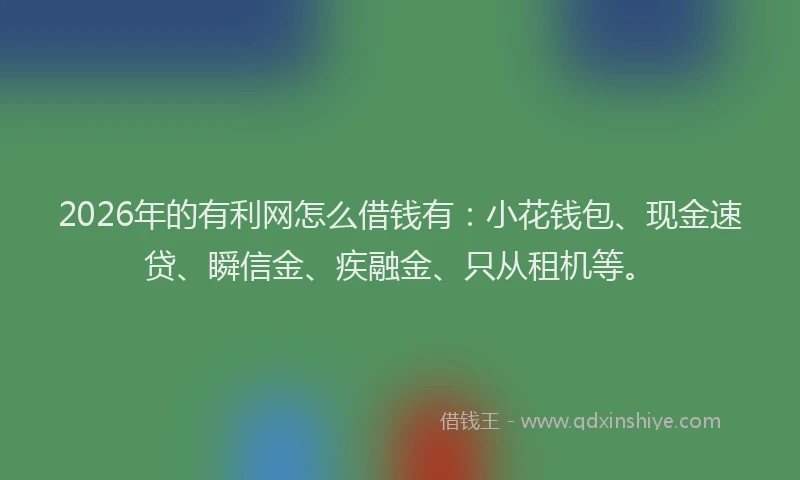 2026年的有利网怎么借钱有：小花钱包、现金速贷、瞬信金、疾融金、只从租机等。