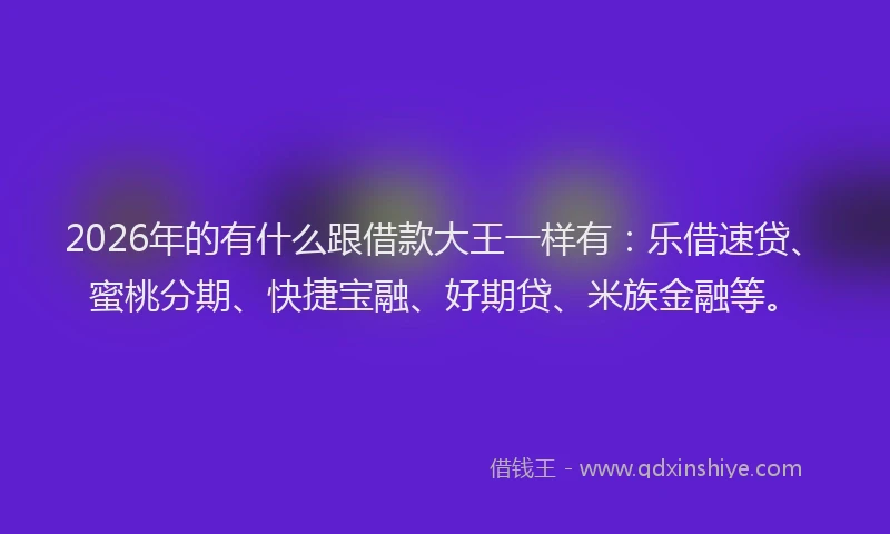 2026年的有什么跟借款大王一样有：乐借速贷、蜜桃分期、快捷宝融、好期贷、米族金融等。