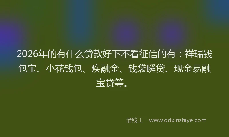 2026年的有什么贷款好下不看征信的有：祥瑞钱包宝、小花钱包、疾融金、钱袋瞬贷、现金易融宝贷等。