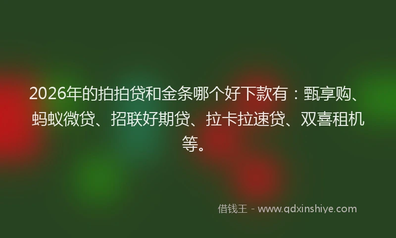 2026年的拍拍贷和金条哪个好下款有：甄享购、蚂蚁微贷、招联好期贷、拉卡拉速贷、双喜租机等。
