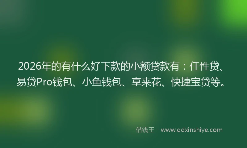 2026年的有什么好下款的小额贷款有：任性贷、易贷Pro钱包、小鱼钱包、享来花、快捷宝贷等。