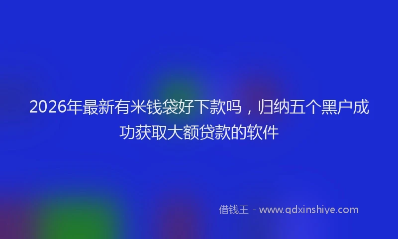 2026年最新有米钱袋好下款吗，归纳五个黑户成功获取大额贷款的软件