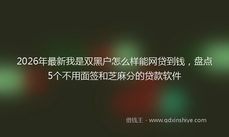 2026年最新我是双黑户怎么样能网贷到钱，盘点5个不用面签和芝麻分的贷款软件