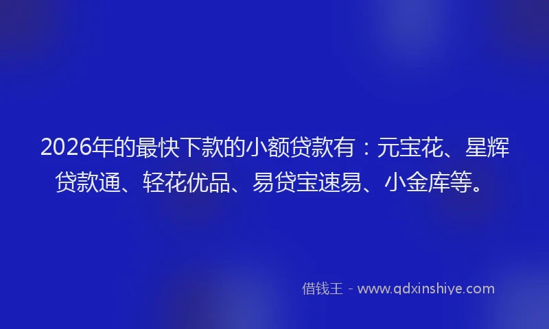 2026年的最快下款的小额贷款有：元宝花、星辉贷款通、轻花优品、易贷宝速易、小金库等。