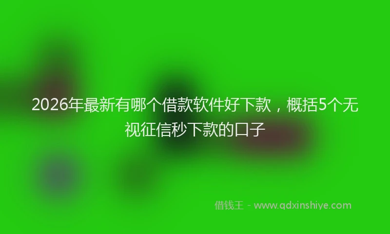 2026年最新有哪个借款软件好下款，概括5个无视征信秒下款的口子