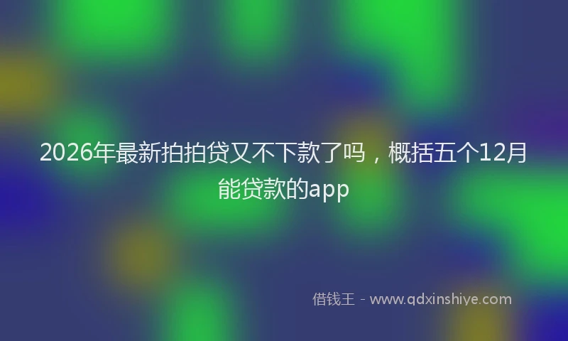 2026年最新拍拍贷又不下款了吗，概括五个12月能贷款的app
