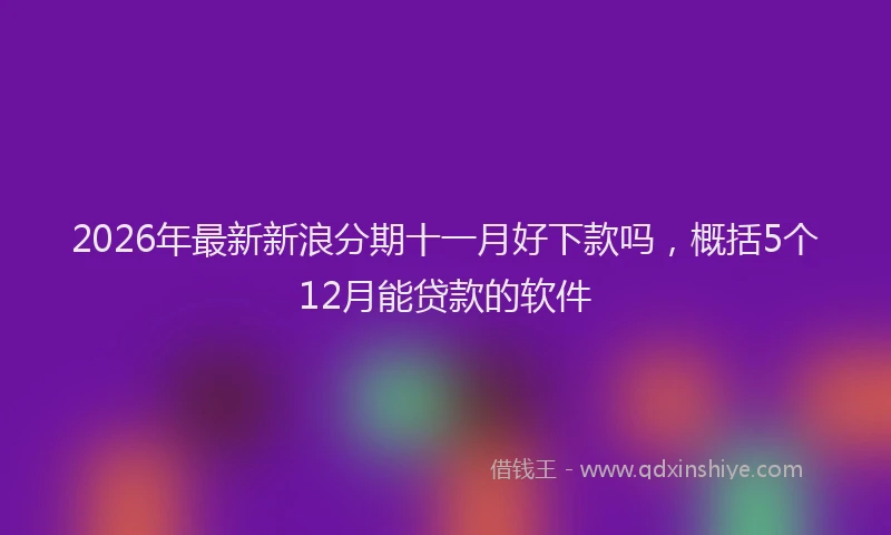 2026年最新新浪分期十一月好下款吗，概括5个12月能贷款的软件