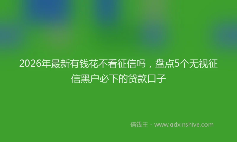 2026年最新有钱花不看征信吗，盘点5个无视征信黑户必下的贷款口子