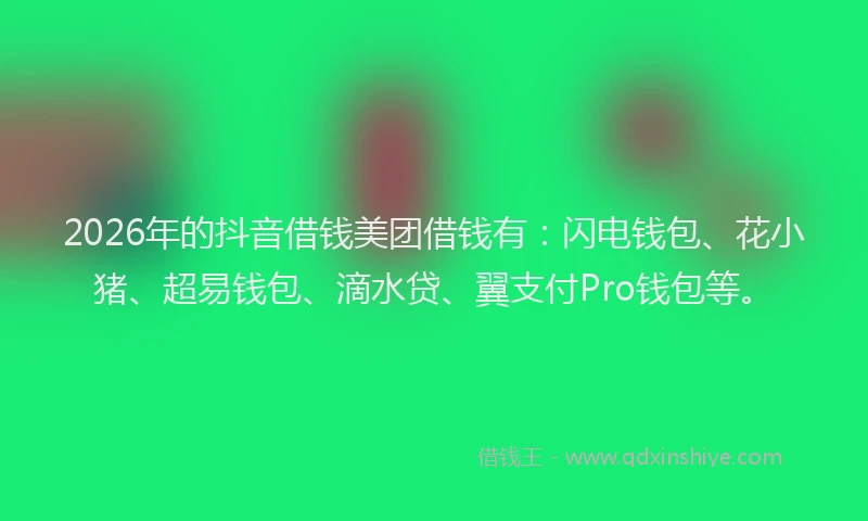 2026年的抖音借钱美团借钱有：闪电钱包、花小猪、超易钱包、滴水贷、翼支付Pro钱包等。
