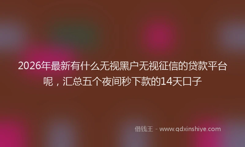 2026年最新有什么无视黑户无视征信的贷款平台呢，汇总五个夜间秒下款的14天口子