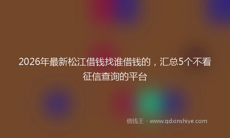 2026年最新松江借钱找谁借钱的，汇总5个不看征信查询的平台