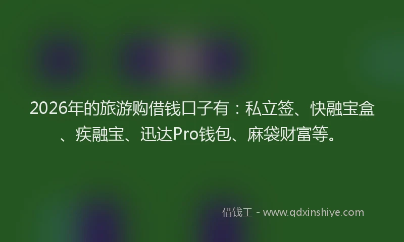 2026年的旅游购借钱口子有：私立签、快融宝盒、疾融宝、迅达Pro钱包、麻袋财富等。