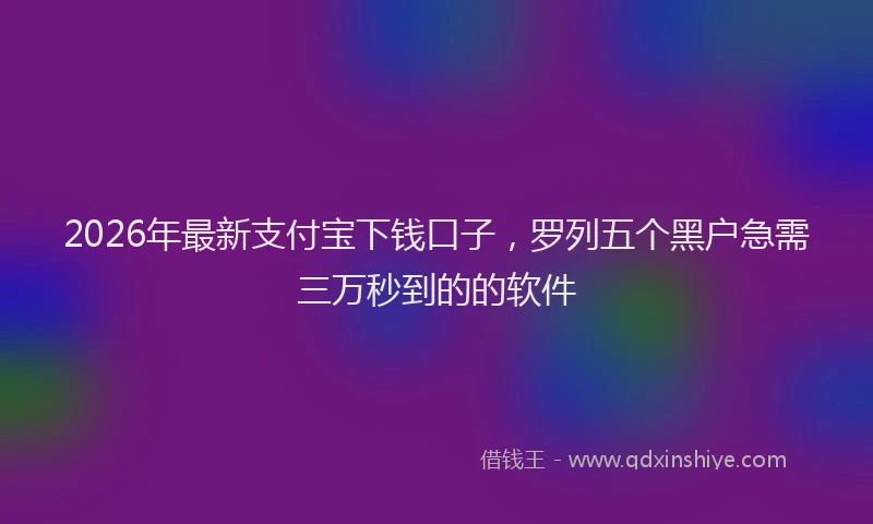 2026年最新支付宝下钱口子，罗列五个黑户急需三万秒到的的软件
