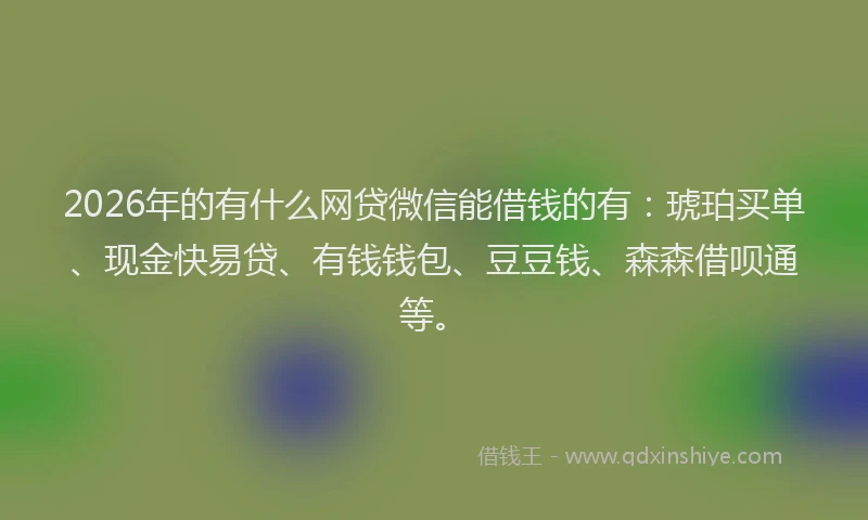 2026年的有什么网贷微信能借钱的有：琥珀买单、现金快易贷、有钱钱包、豆豆钱、森森借呗通等。