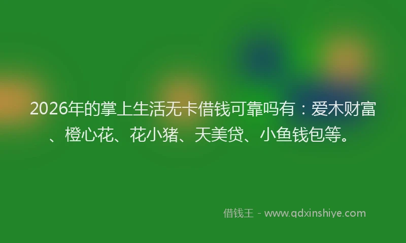 2026年的掌上生活无卡借钱可靠吗有：爱木财富、橙心花、花小猪、天美贷、小鱼钱包等。