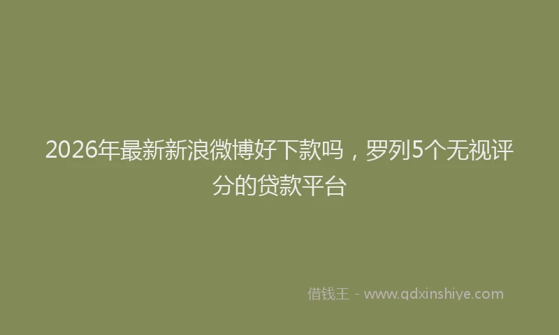 2026年最新新浪微博好下款吗，罗列5个无视评分的贷款平台