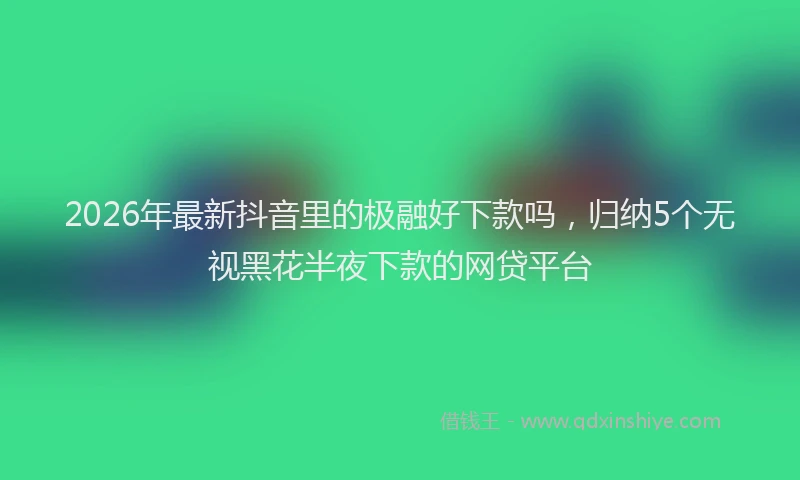 2026年最新抖音里的极融好下款吗，归纳5个无视黑花半夜下款的网贷平台